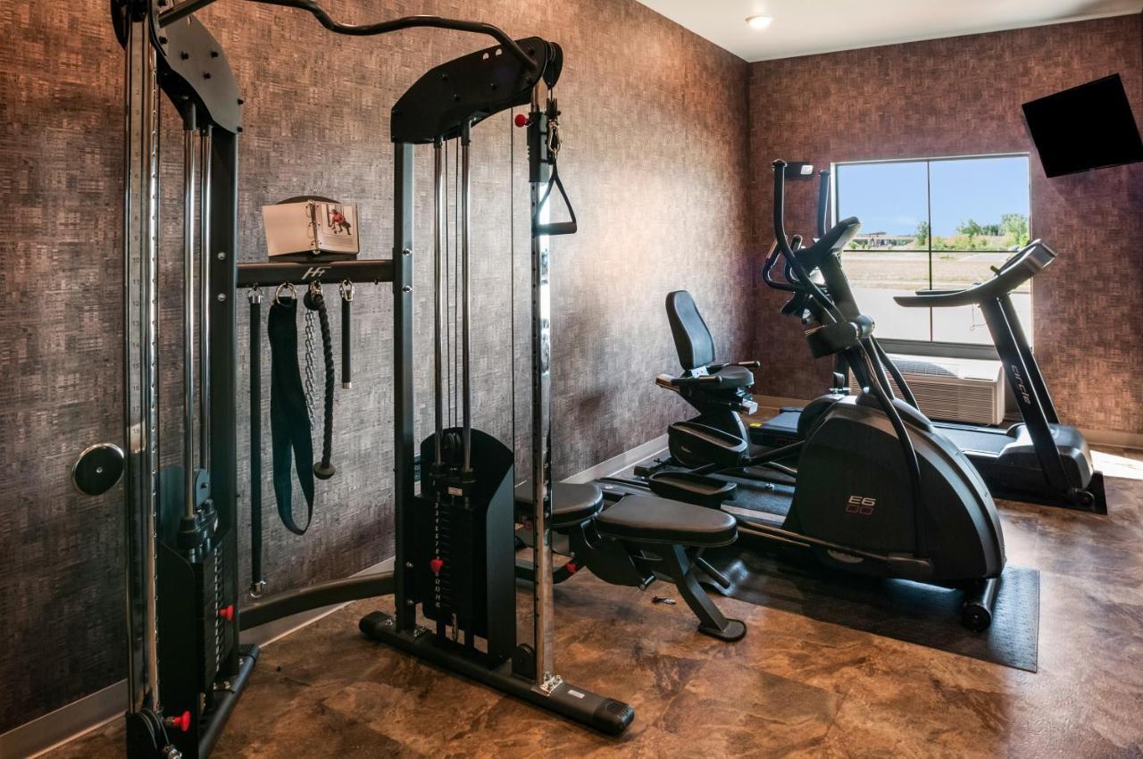 Cobblestone Hotel & Suites Appleton International Airport 尼纳 外观 照片